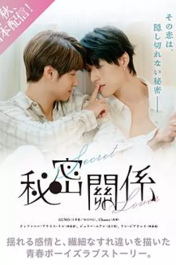 秘密关系(台剧)