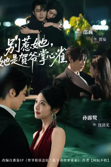 别惹她，她是贺爷掌心雀