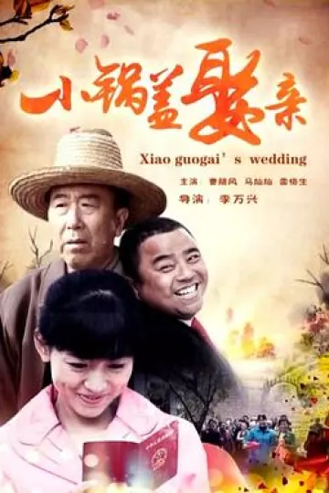 小锅盖娶亲[电影解说]