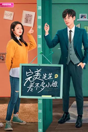 完美先生和差不多小姐印尼语字幕版