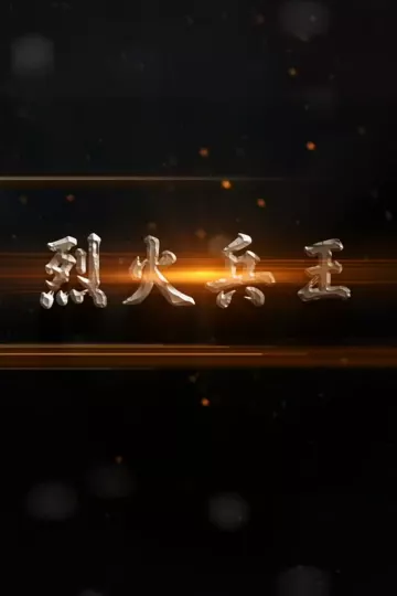 烈火兵王