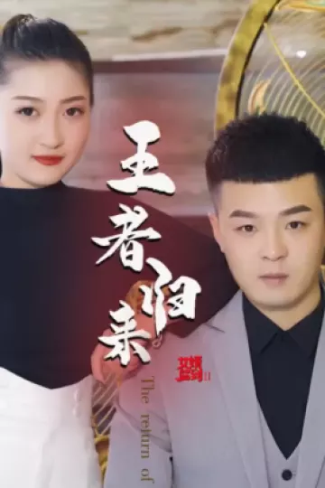 女婿驾到②王者归来
