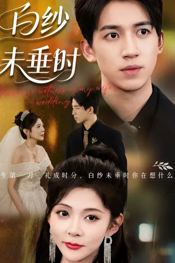 老婆婚礼我当证婚人，白纱未垂时