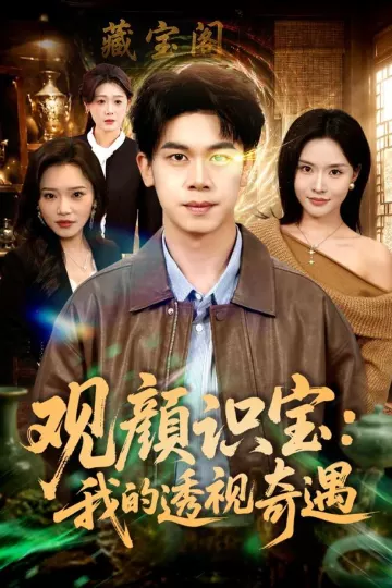 观颜识宝:我的透视奇遇