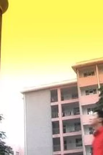 风继续吹