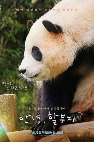 再见，福宝