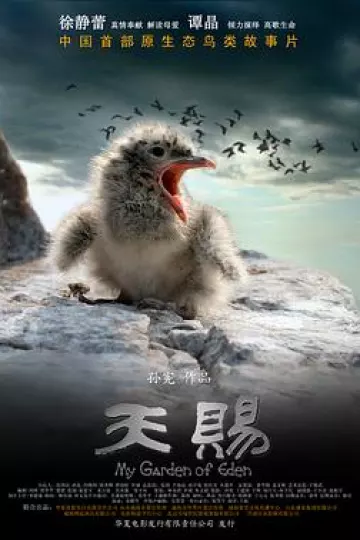 天赐
