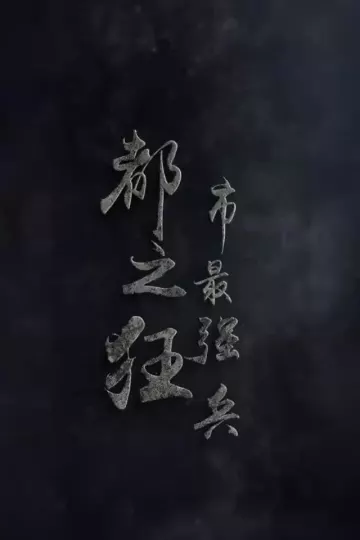 都市最强狂合集版