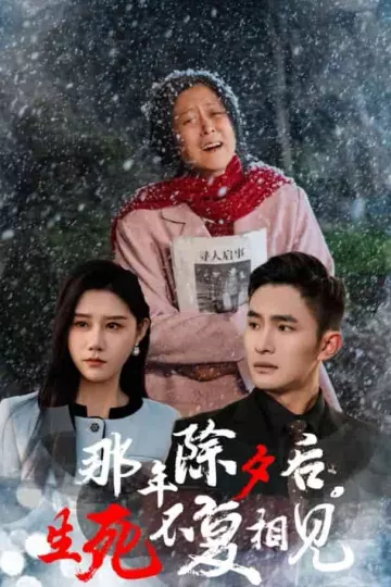 那年除夕后生死不复相见