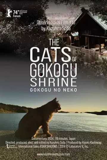 五香宫的猫