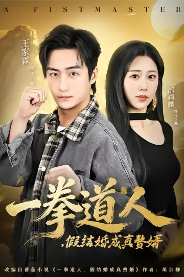 一拳道人,假结婚成真赘婿