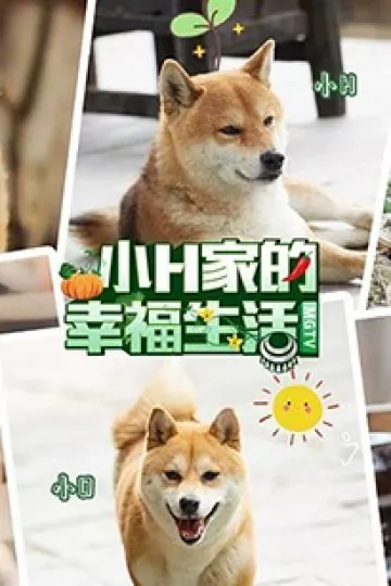 小H一家