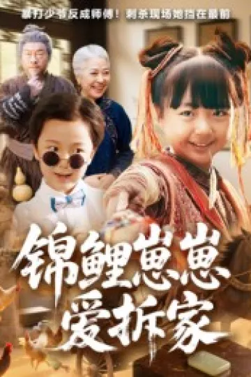 锦鲤崽崽爱拆家