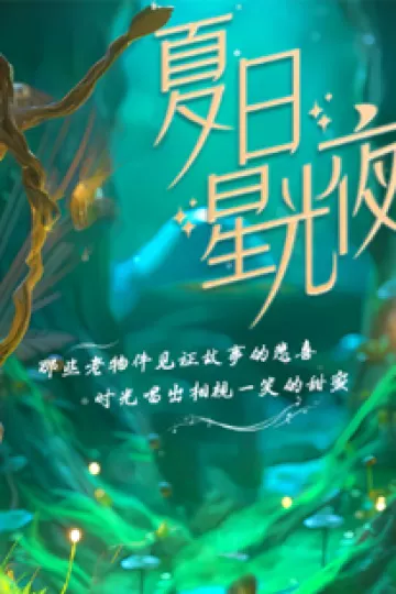 夏日星光夜第一季