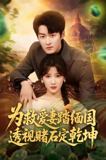 为救爱妻踏缅国透视赌石定乾坤