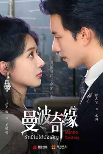 曼波奇缘
