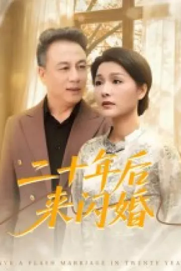 二十年后来闪婚