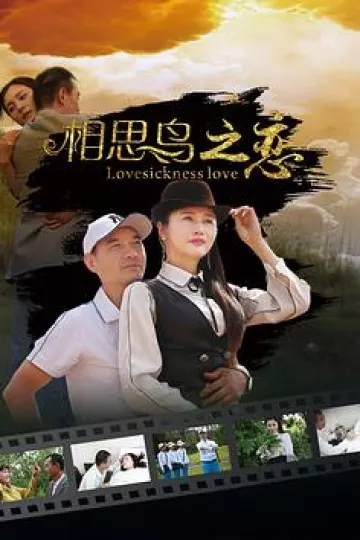 相思鸟之恋[电影解说]