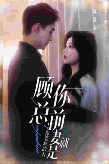顾总你前妻就是你要找的人
