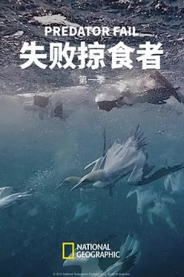 失败掠食者第一季