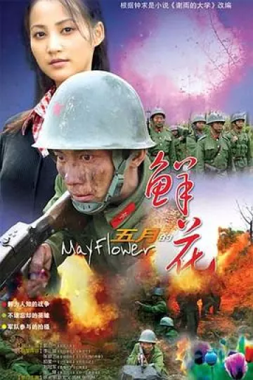 五月的鲜花[电影解说]