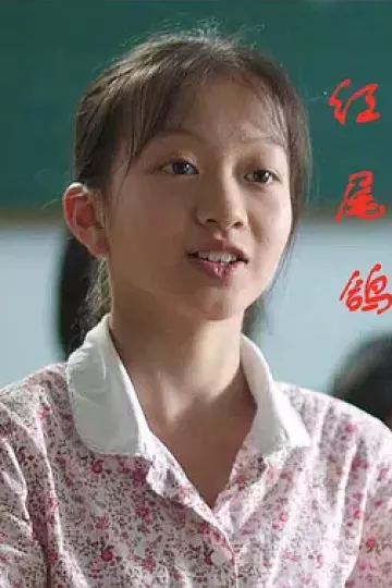 红尾鸽