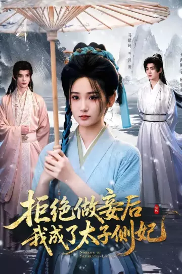 拒绝做妾后我成了太子侧妃