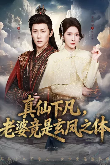 真仙下凡,老婆竟是玄凤之体