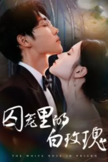 囚笼里的白玫瑰