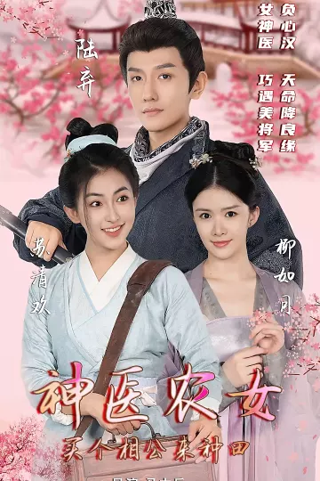 神医农女：买个相公来种田