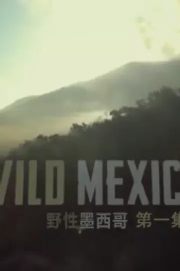 野性墨西哥