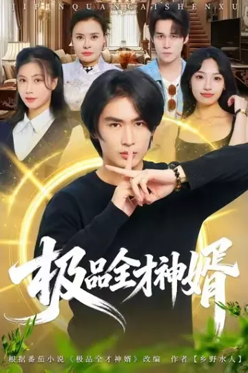 极品全才神婿