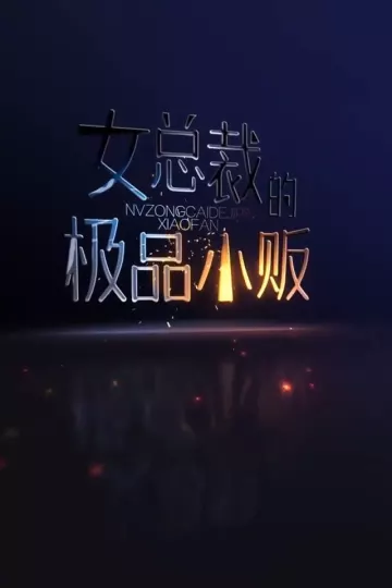 女总裁的极品小贩