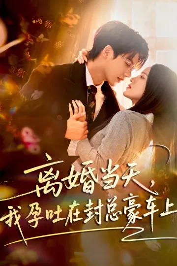 离婚当天，我孕吐在封总豪车上
