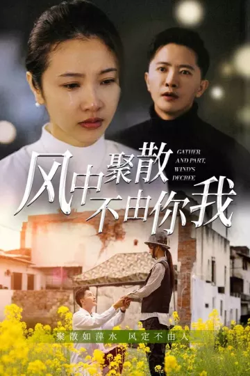 风中聚散不由你我