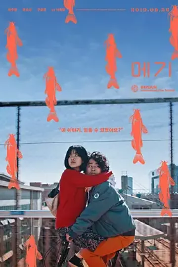鲶鱼美琪[电影解说]