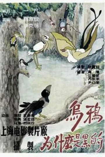 乌鸦为什么是黑的[电影解说]