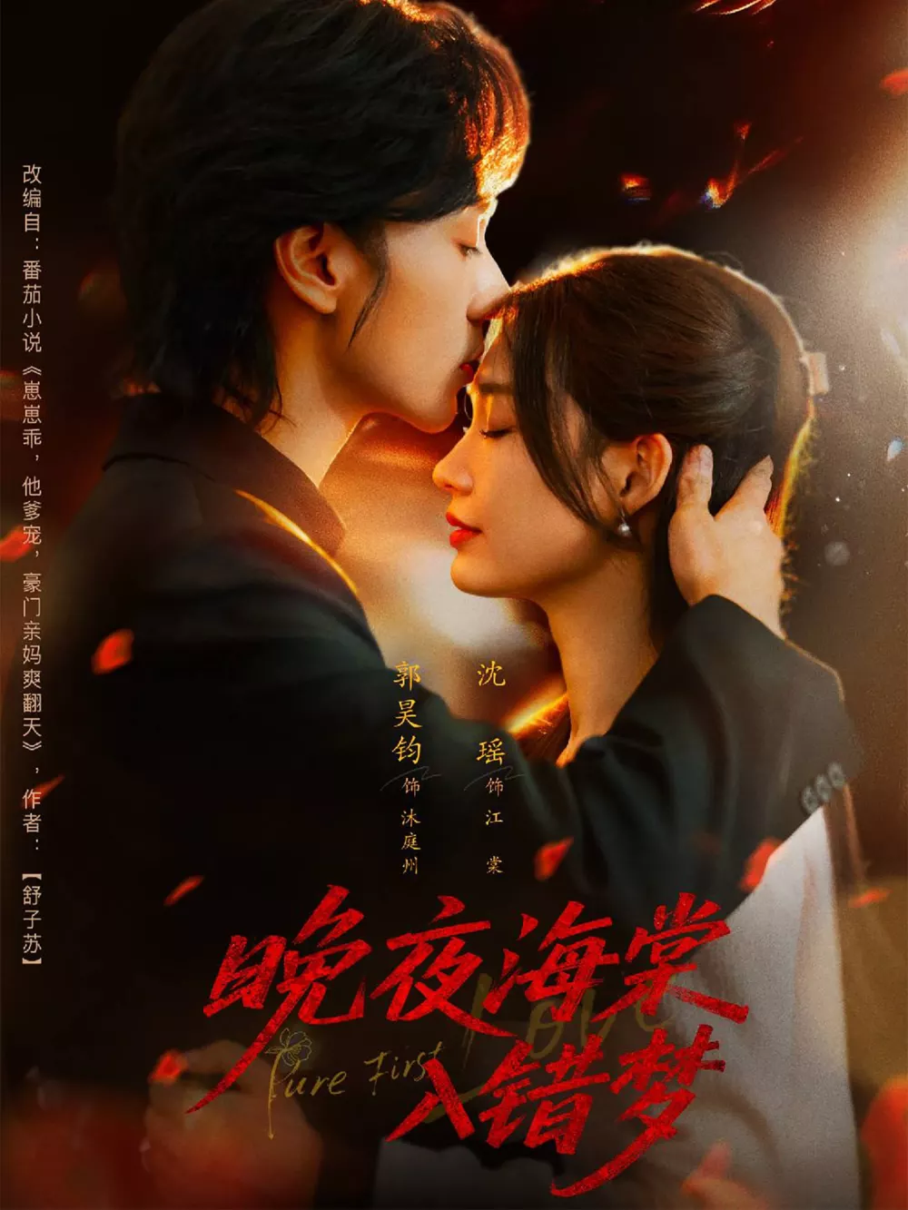 晚夜海棠入错梦
