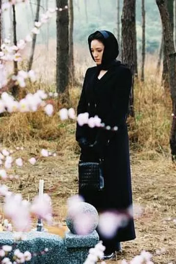 春花秋月2002