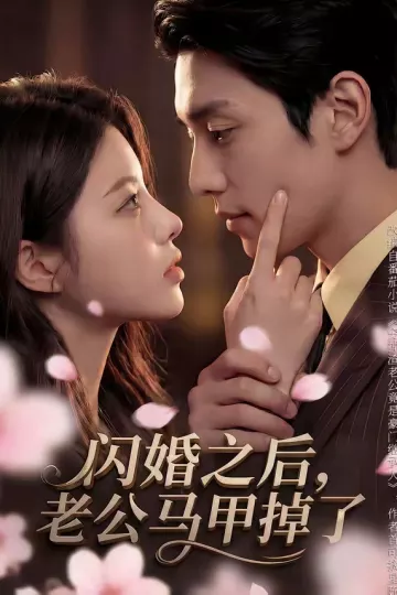 闪婚之后，老公马甲掉了