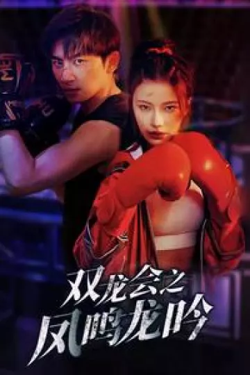 双龙会之凤鸣龙吟