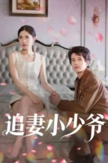 追妻小少爷