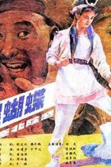 游侠黑蝴蝶[电影解说]