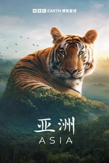 亚洲2024