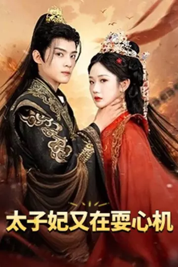 太子妃又在耍心机
