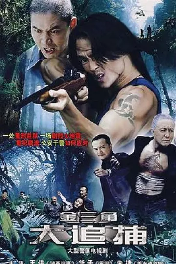 大追捕2008