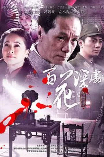 百花深处2011[电影解说]