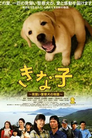 实习警犬物语