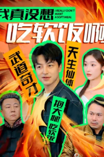 我真没想吃软饭啊