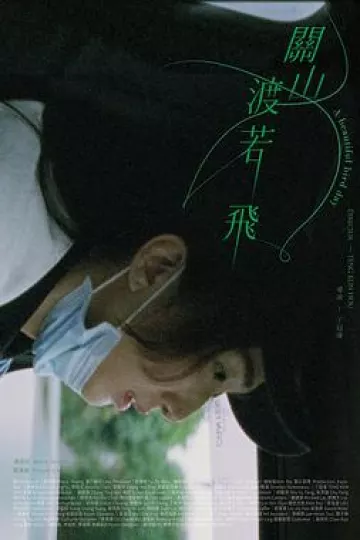 关山度若飞